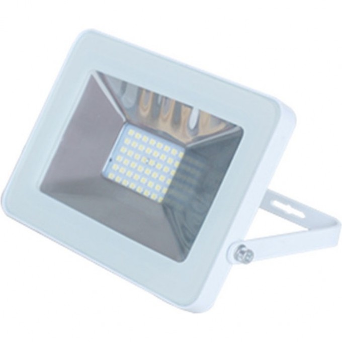 Светодиодный прожектор ECOLA LIGHT PROJECTOR LED белый JPWV50ELB